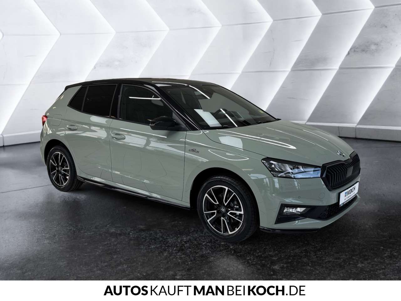 Fahrzeugbild eines Skoda Fabia