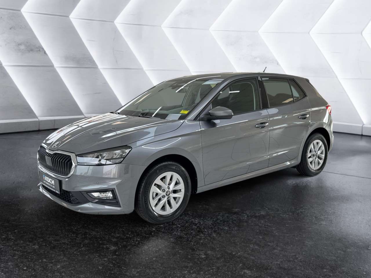 Fahrzeugbild eines Skoda Fabia
