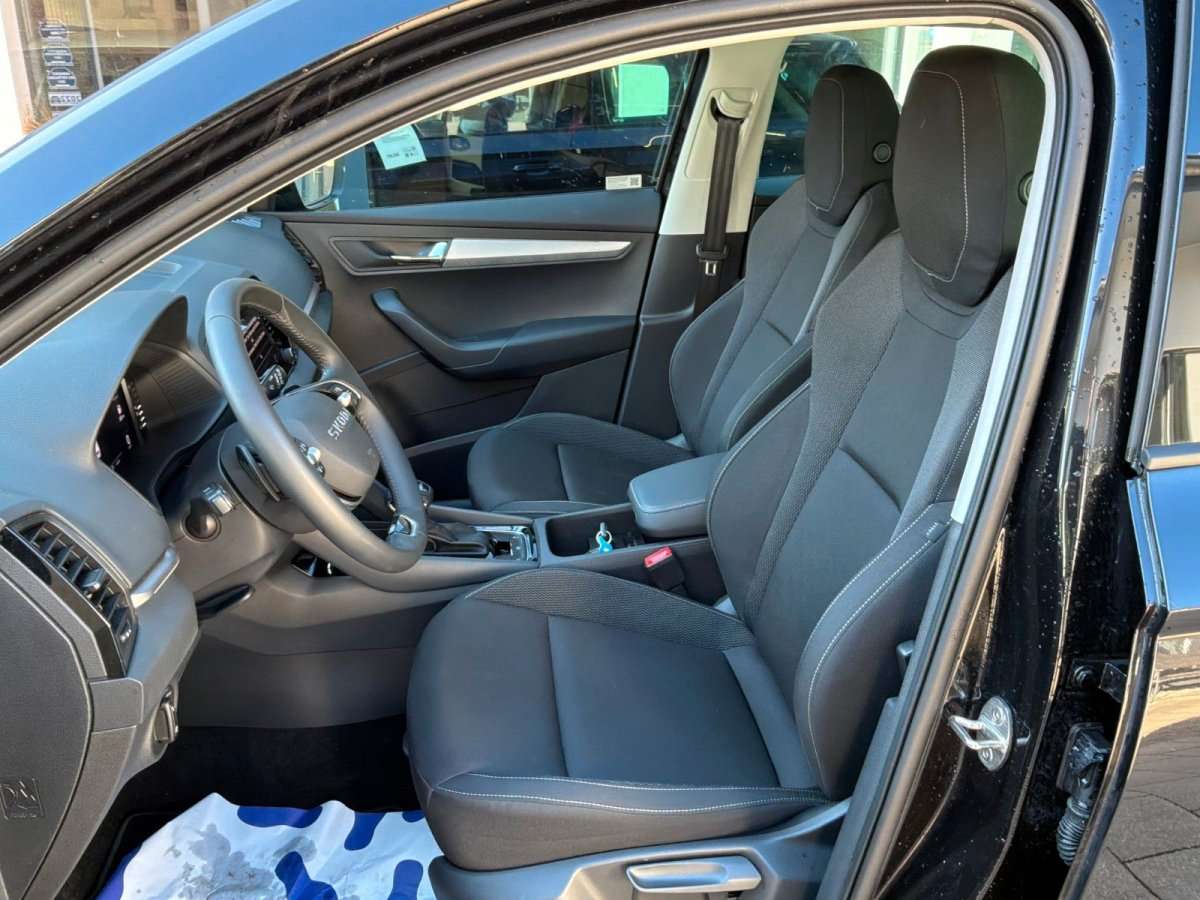 Fahrzeugbild eines Skoda Karoq