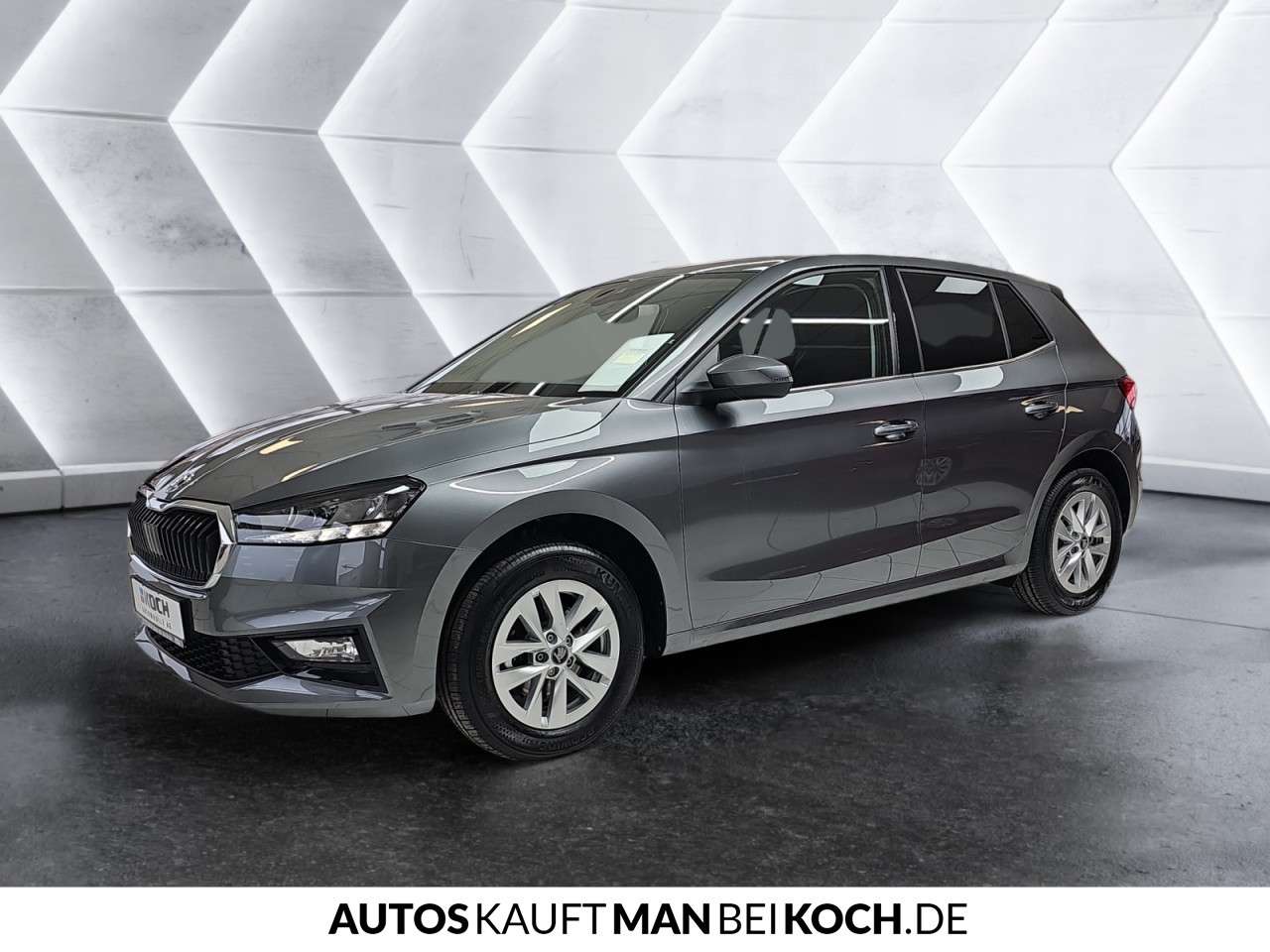 Fahrzeugbild eines Skoda Fabia