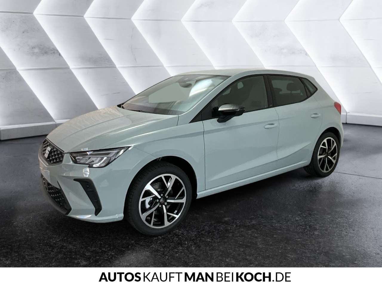 Fahrzeugbild eines SEAT Ibiza
