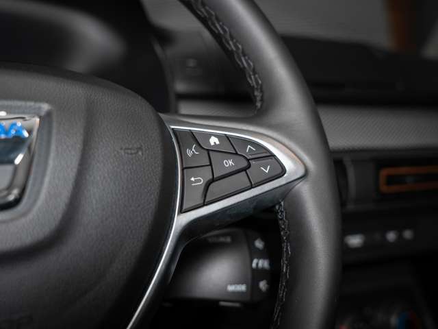 Fahrzeugbild eines Dacia Sandero