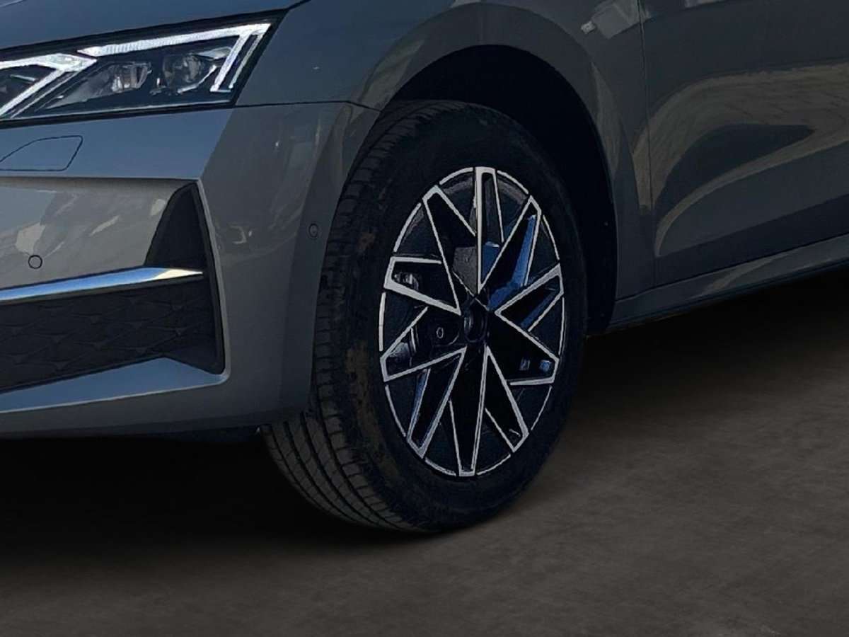 Fahrzeugbild eines Skoda Octavia