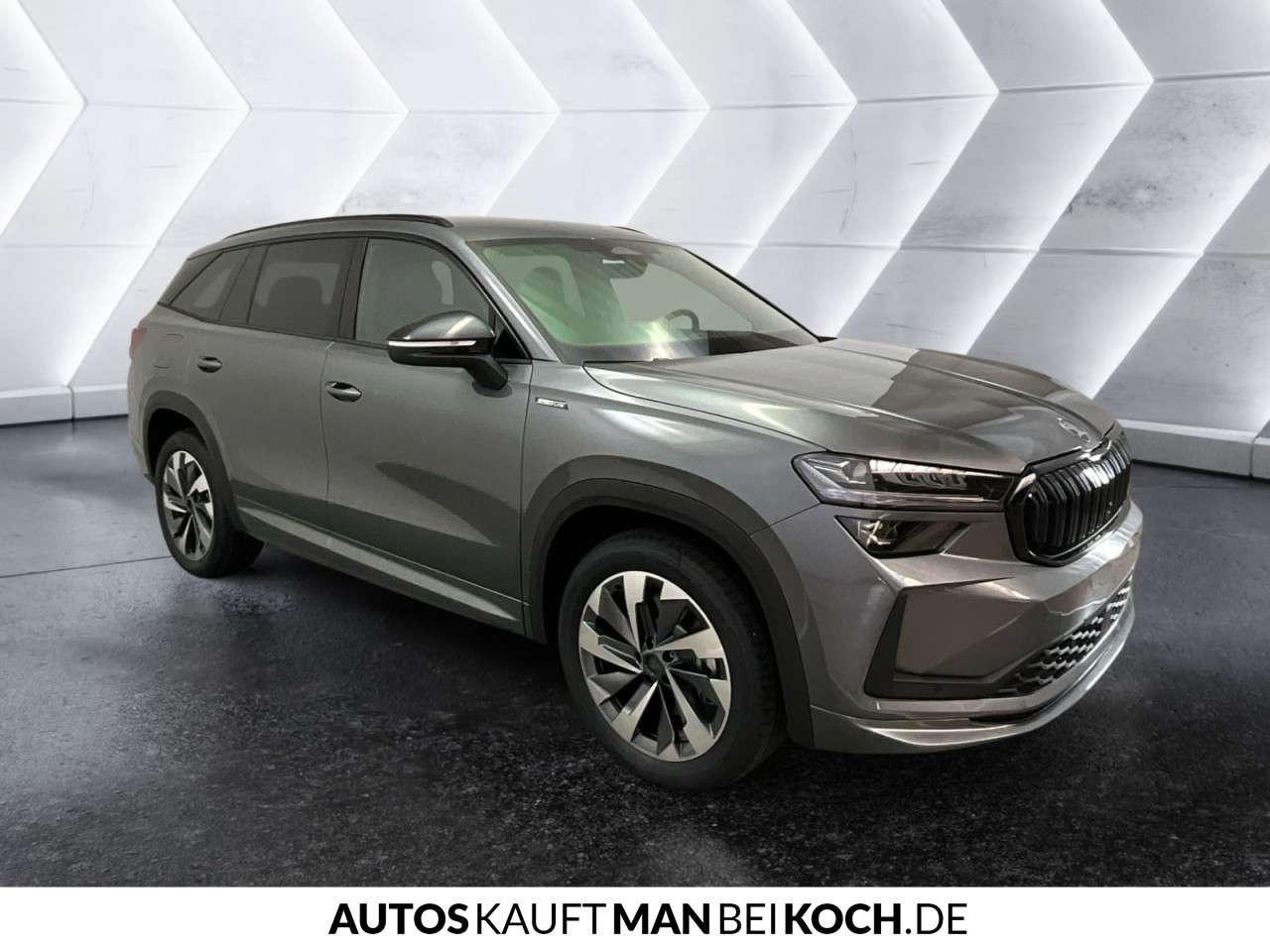 Fahrzeugbild eines Skoda Kodiaq