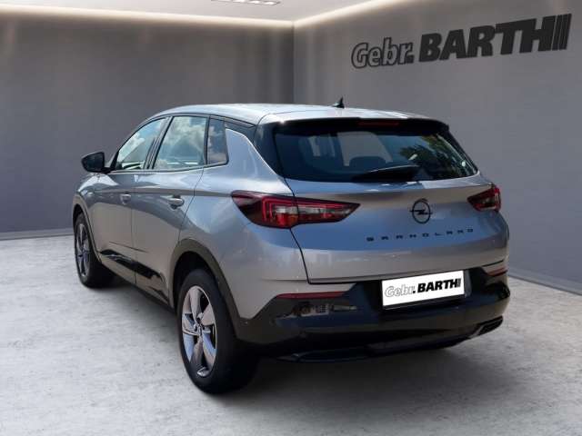 Fahrzeugbild eines Opel Grandland X