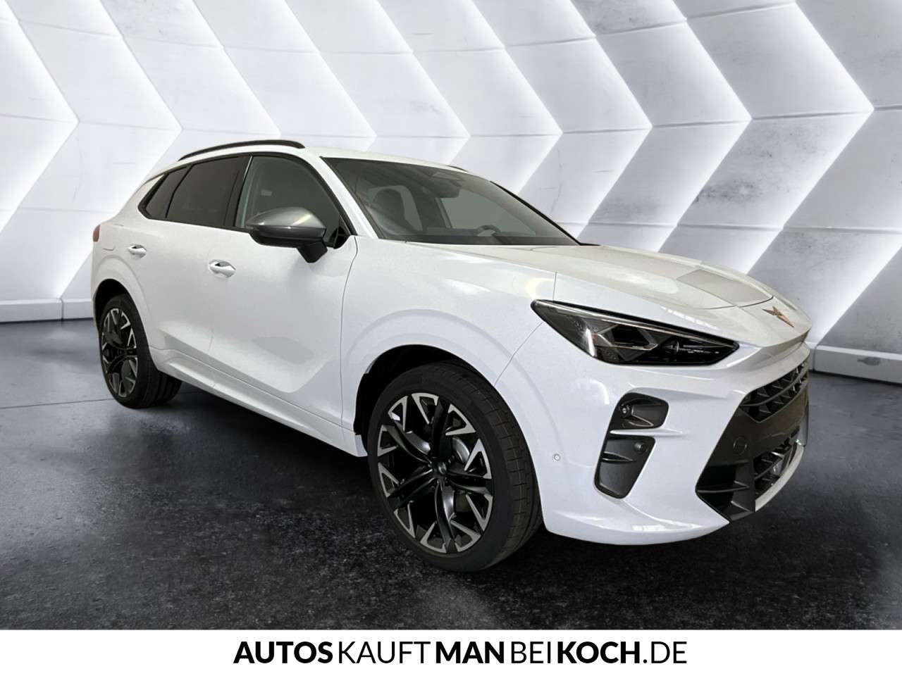 Fahrzeugbild eines CUPRA Terramar