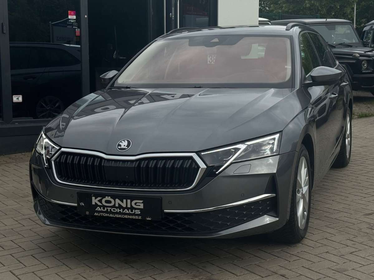 Fahrzeugbild eines Skoda Octavia