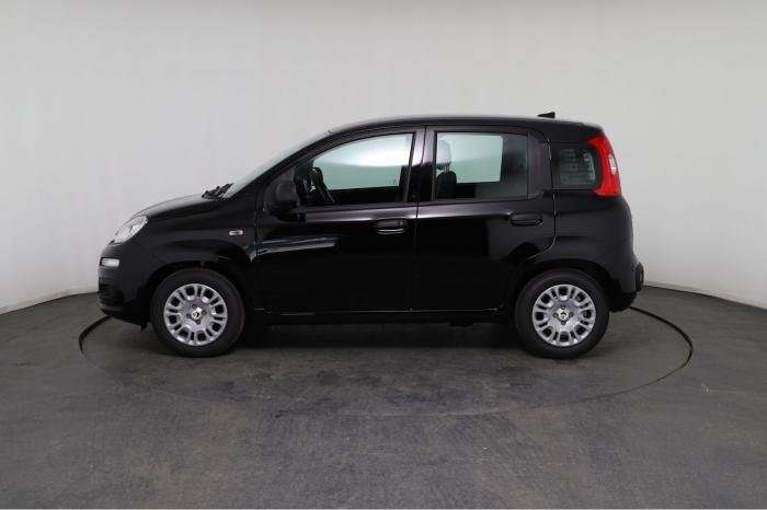 Fahrzeugbild eines Fiat Panda