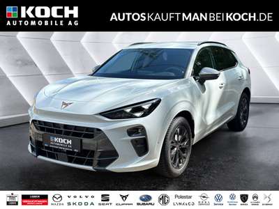 Bild CUPRA Terramar