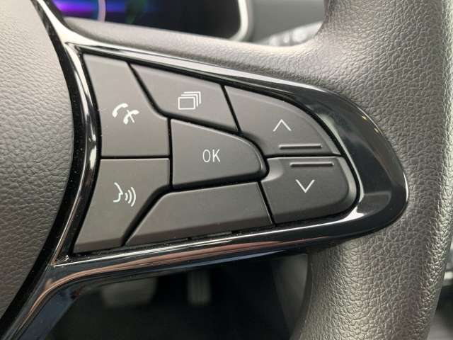 Fahrzeugbild eines Renault ZOE