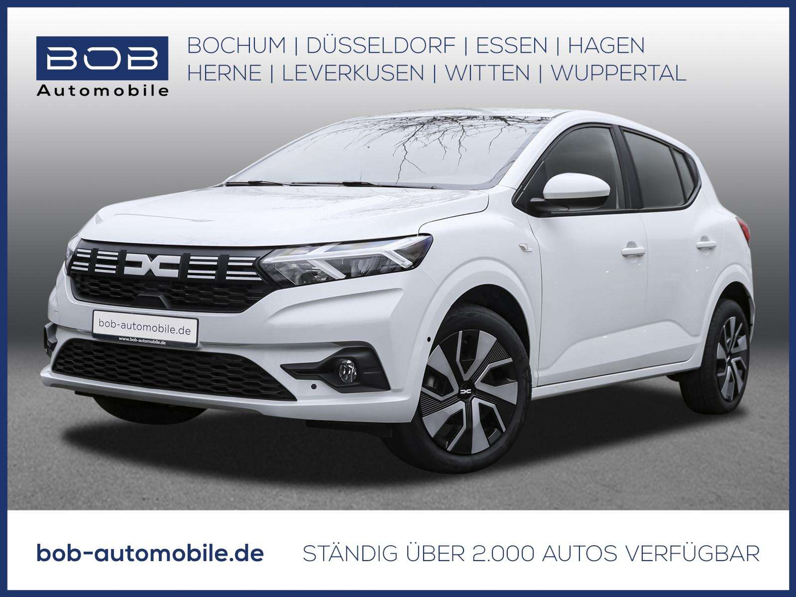 Fahrzeugbild eines Dacia Sandero