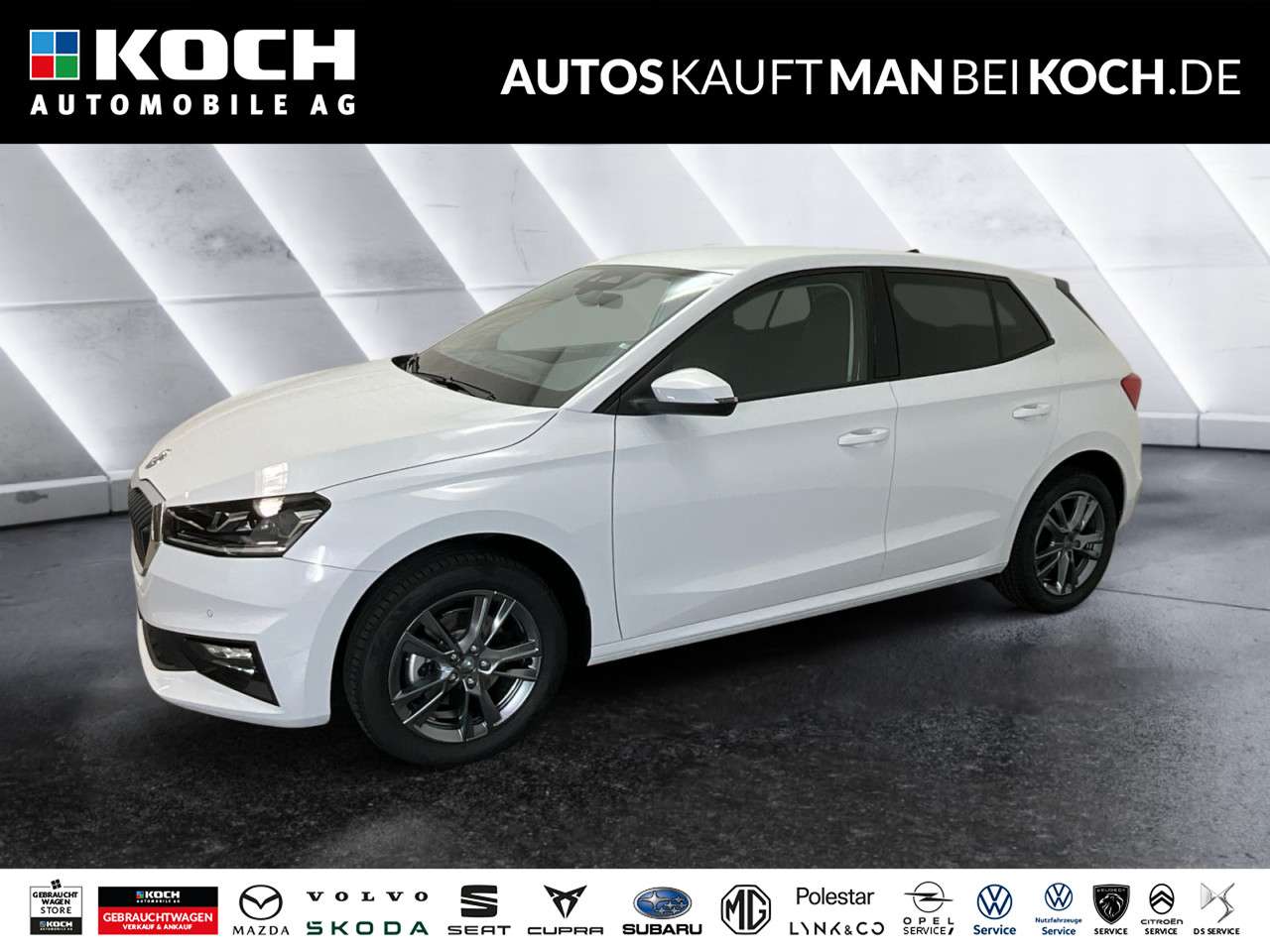 Fahrzeugbild eines Skoda Fabia