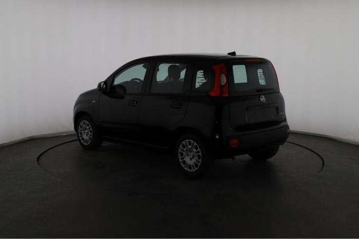 Fahrzeugbild eines Fiat Panda