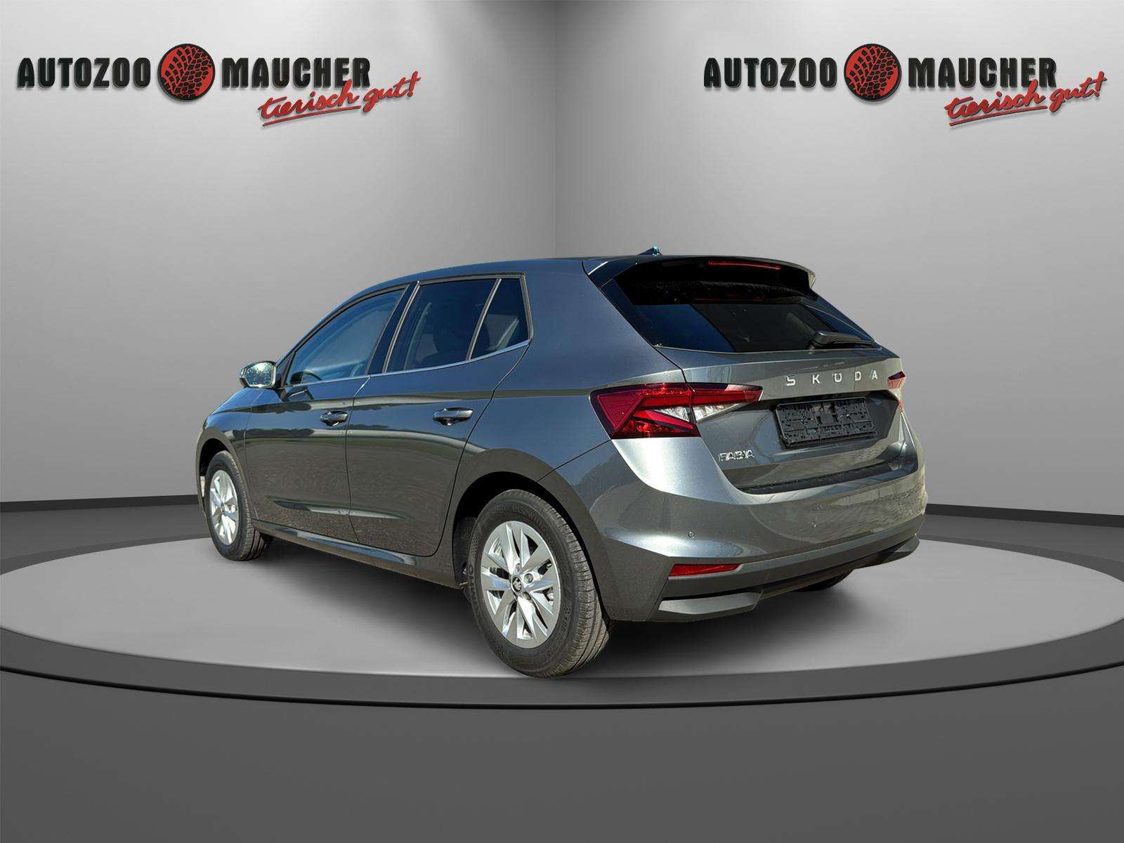 Fahrzeugbild eines Skoda Fabia