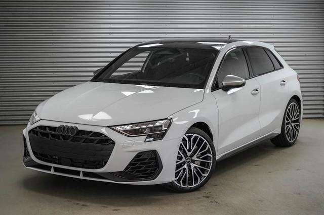 Fahrzeugbild eines Audi S3
