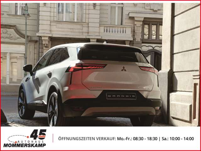 Fahrzeugbild eines Mitsubishi Grandis