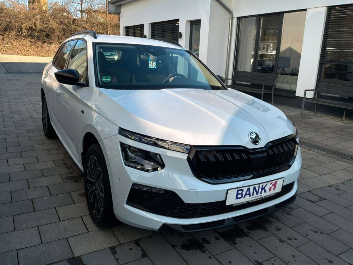 Fahrzeugbild eines Skoda Kamiq