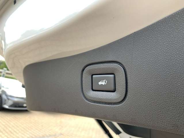 Fahrzeugbild eines Renault Koleos