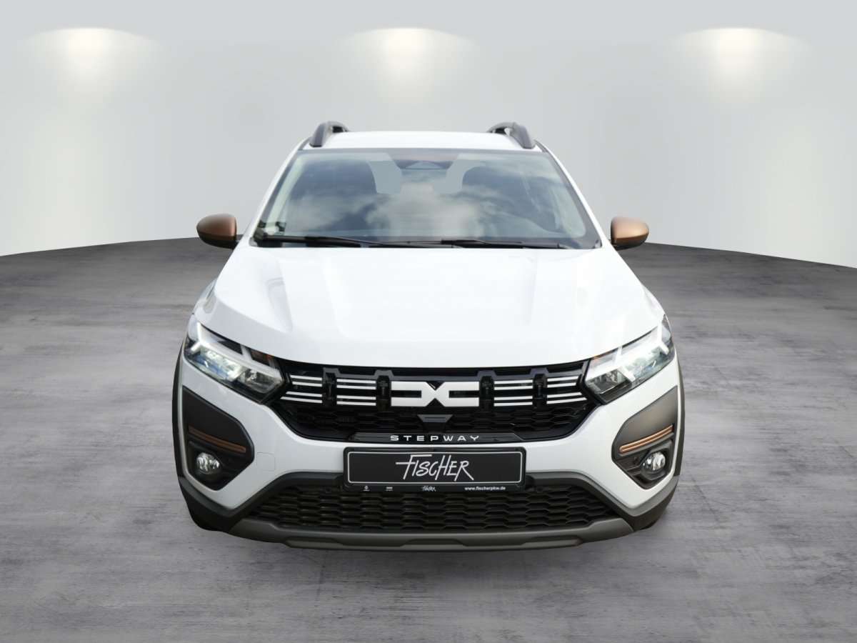 Fahrzeugbild eines Dacia Sandero