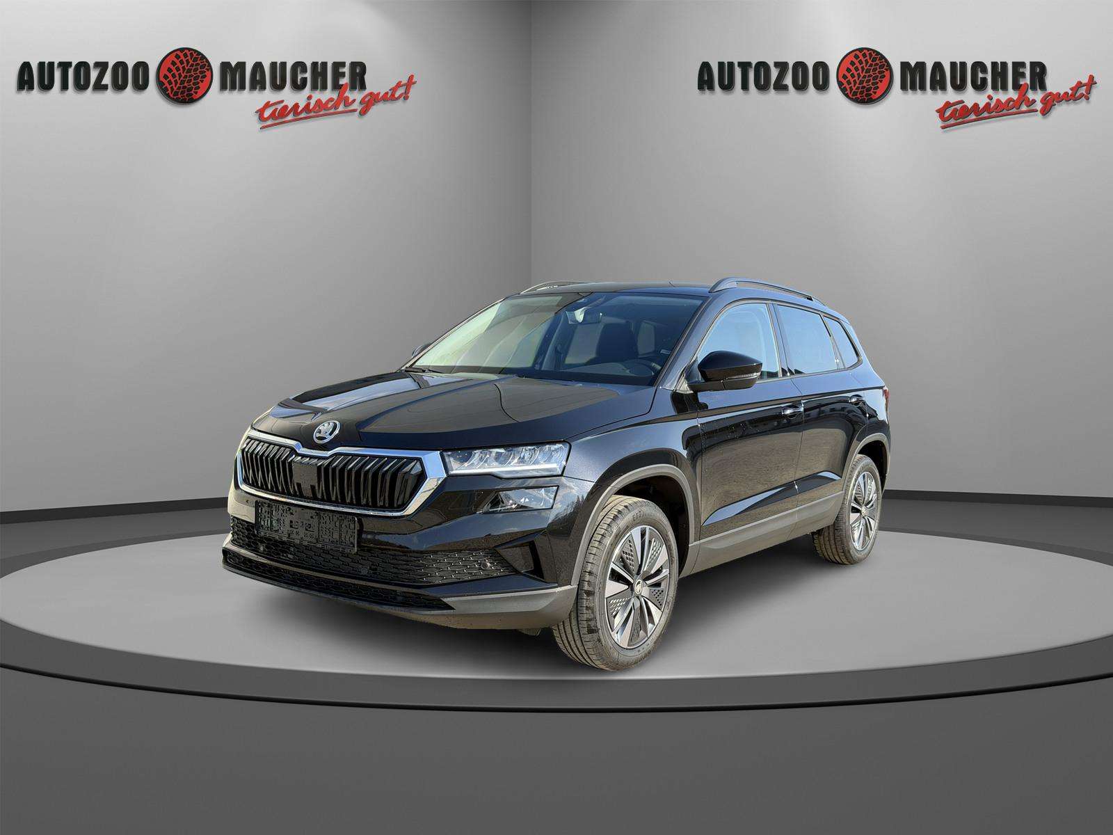 Fahrzeugbild eines Skoda Karoq