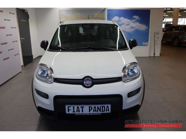 Fahrzeugbild eines Fiat Panda