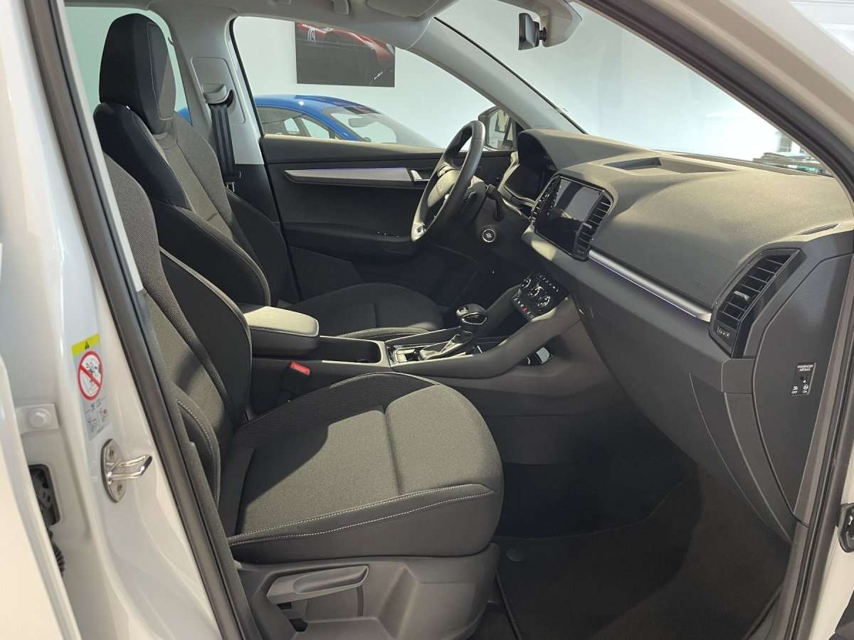 Fahrzeugbild eines Skoda Karoq