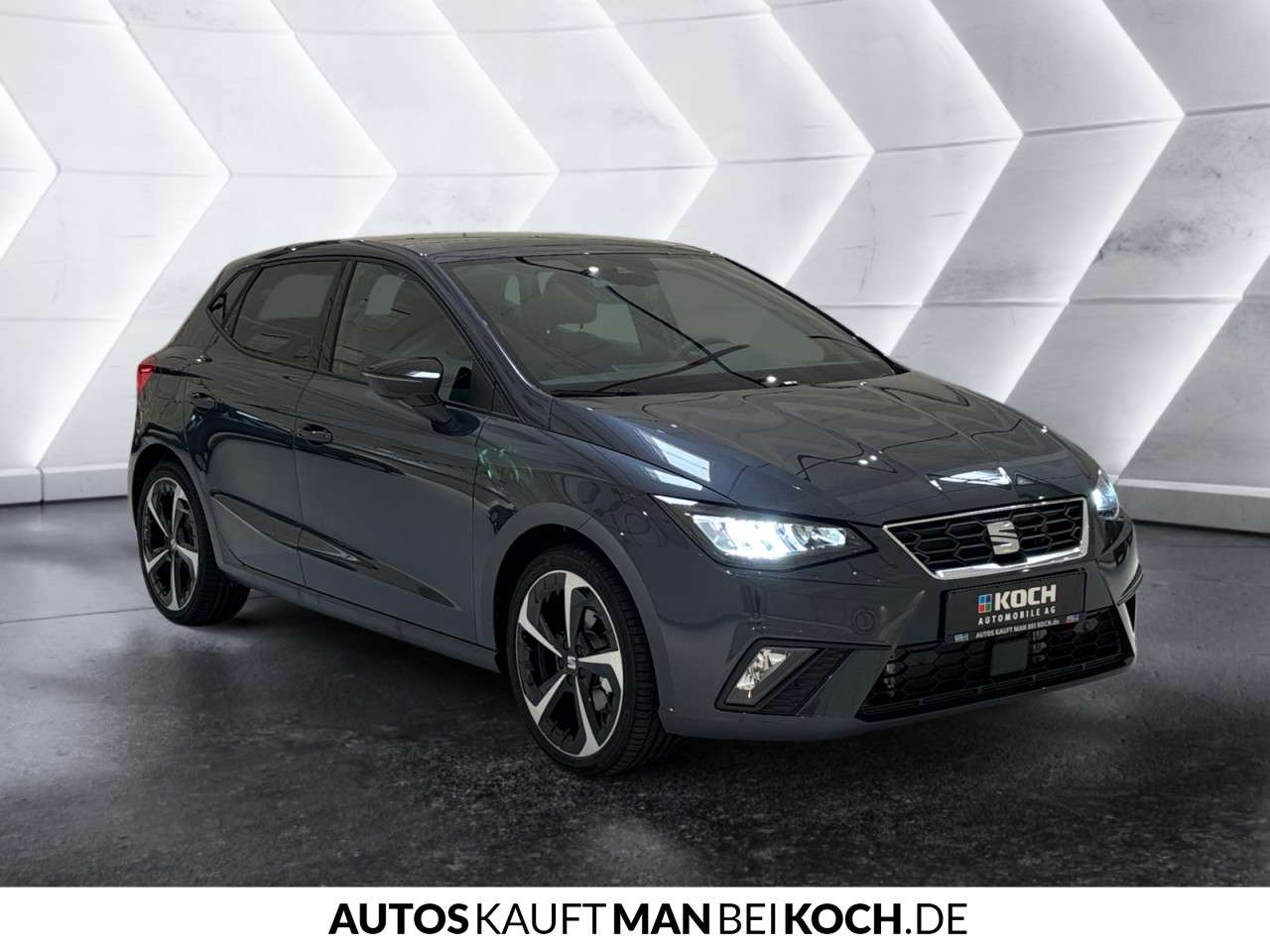 Fahrzeugbild eines SEAT Ibiza