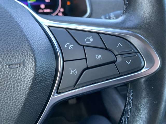 Fahrzeugbild eines Renault ZOE
