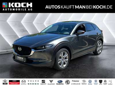 Bild Mazda CX-30