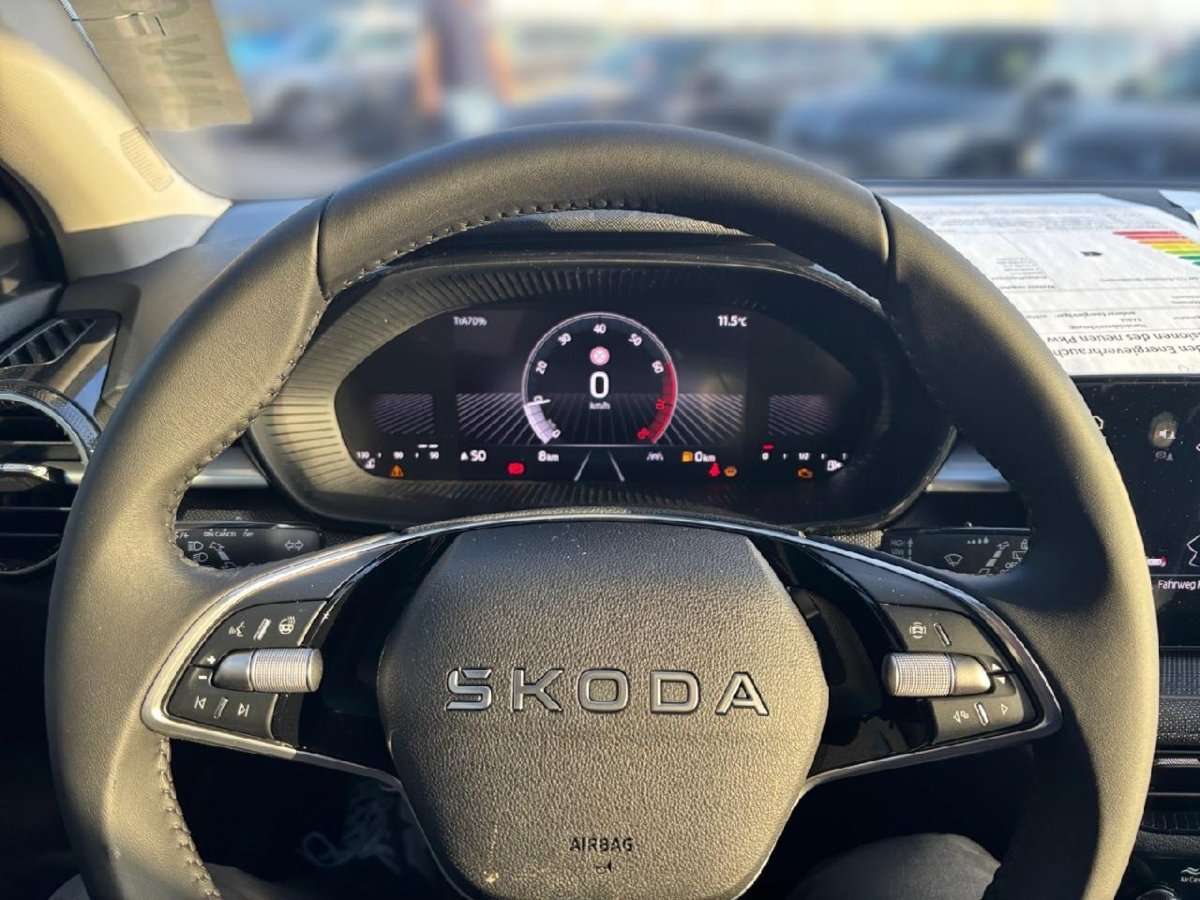 Fahrzeugbild eines Skoda Fabia