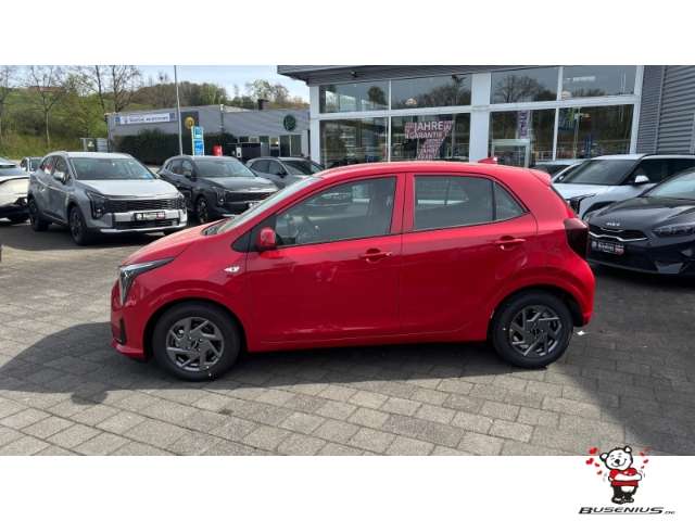 Fahrzeugbild eines Kia Picanto