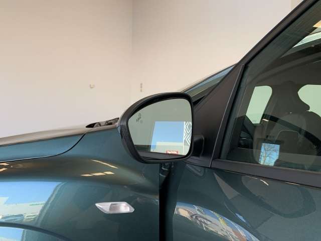 Fahrzeugbild eines Dacia Sandero