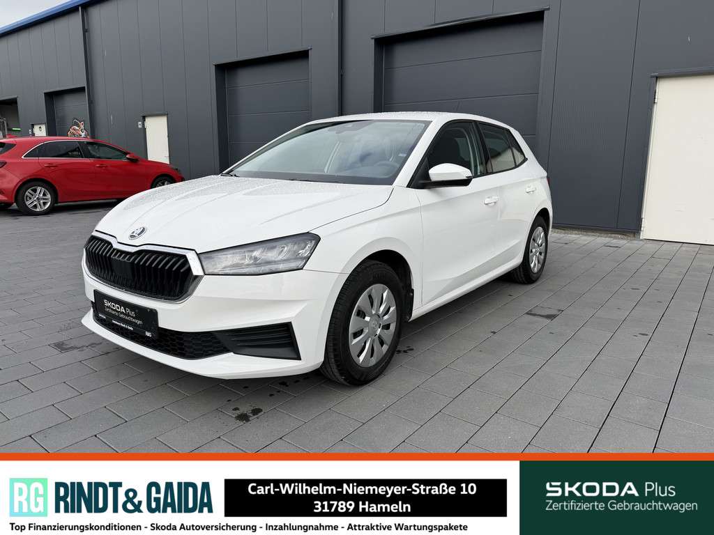 Fahrzeugbild eines Skoda Fabia