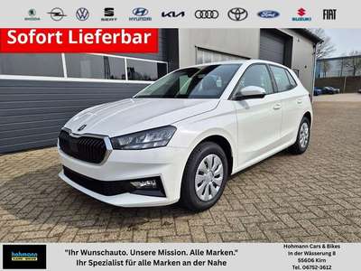 Bild Skoda Fabia
