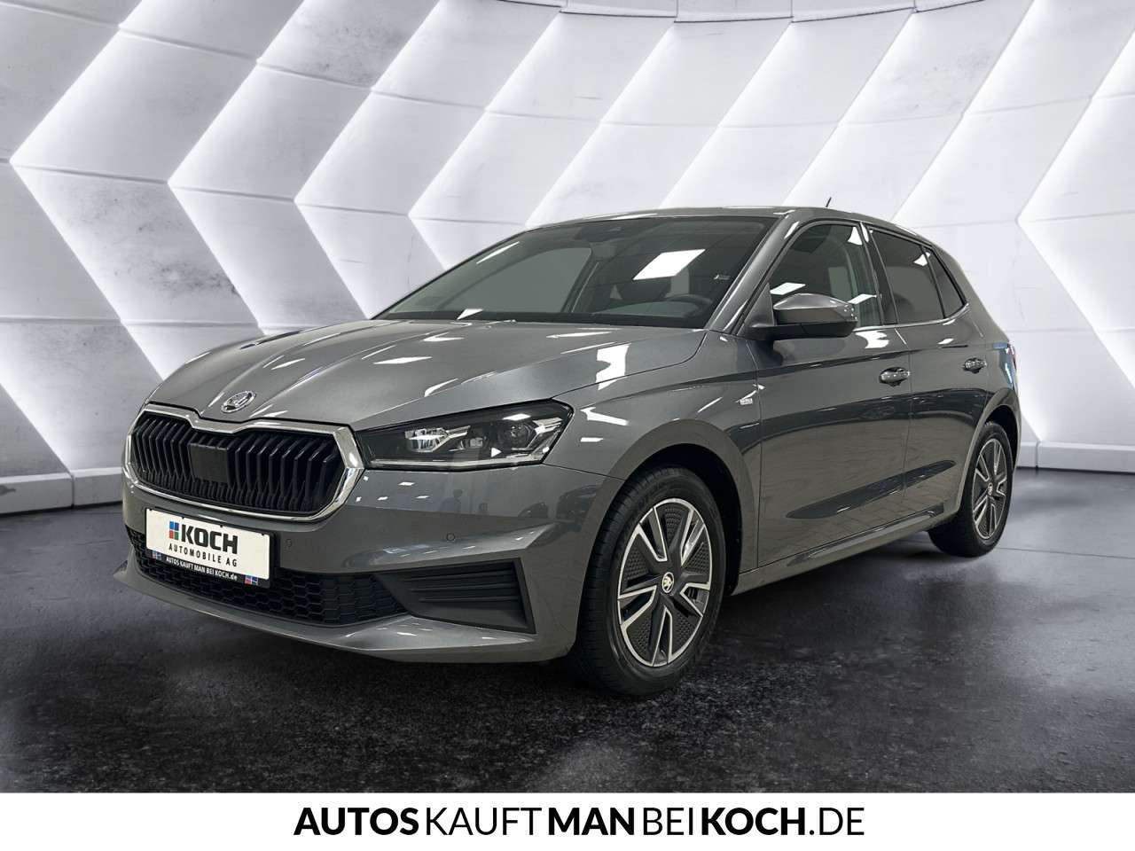 Fahrzeugbild eines Skoda Fabia