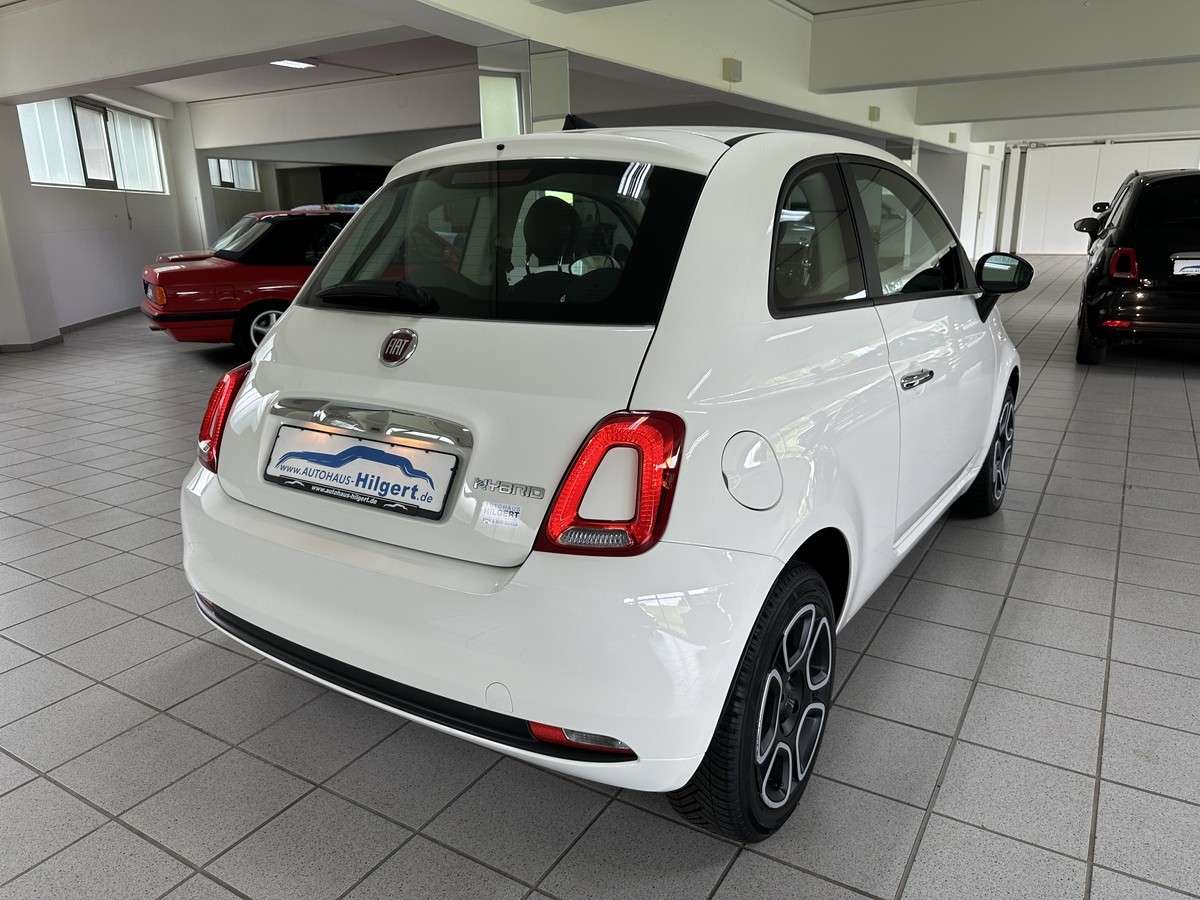 Fahrzeugbild eines Fiat 500