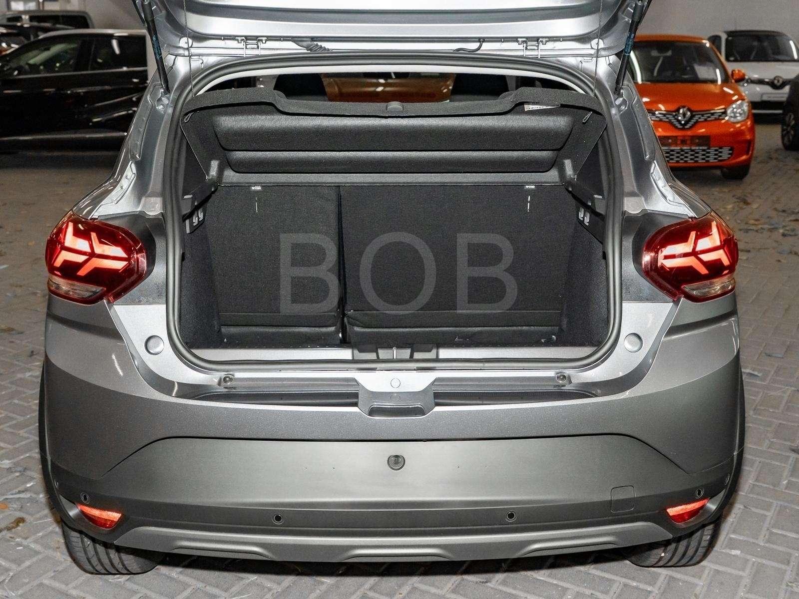 Fahrzeugbild eines Dacia Sandero