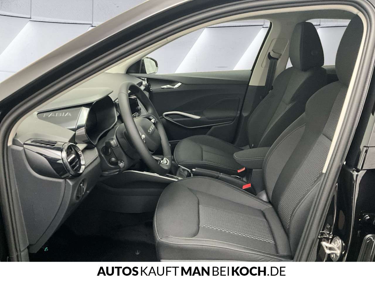 Fahrzeugbild eines Skoda Fabia