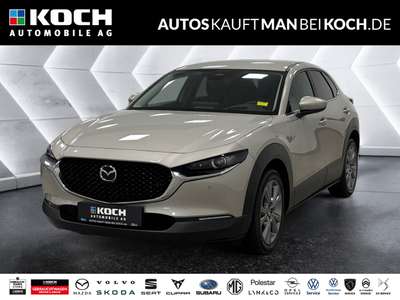 Bild Mazda CX-30
