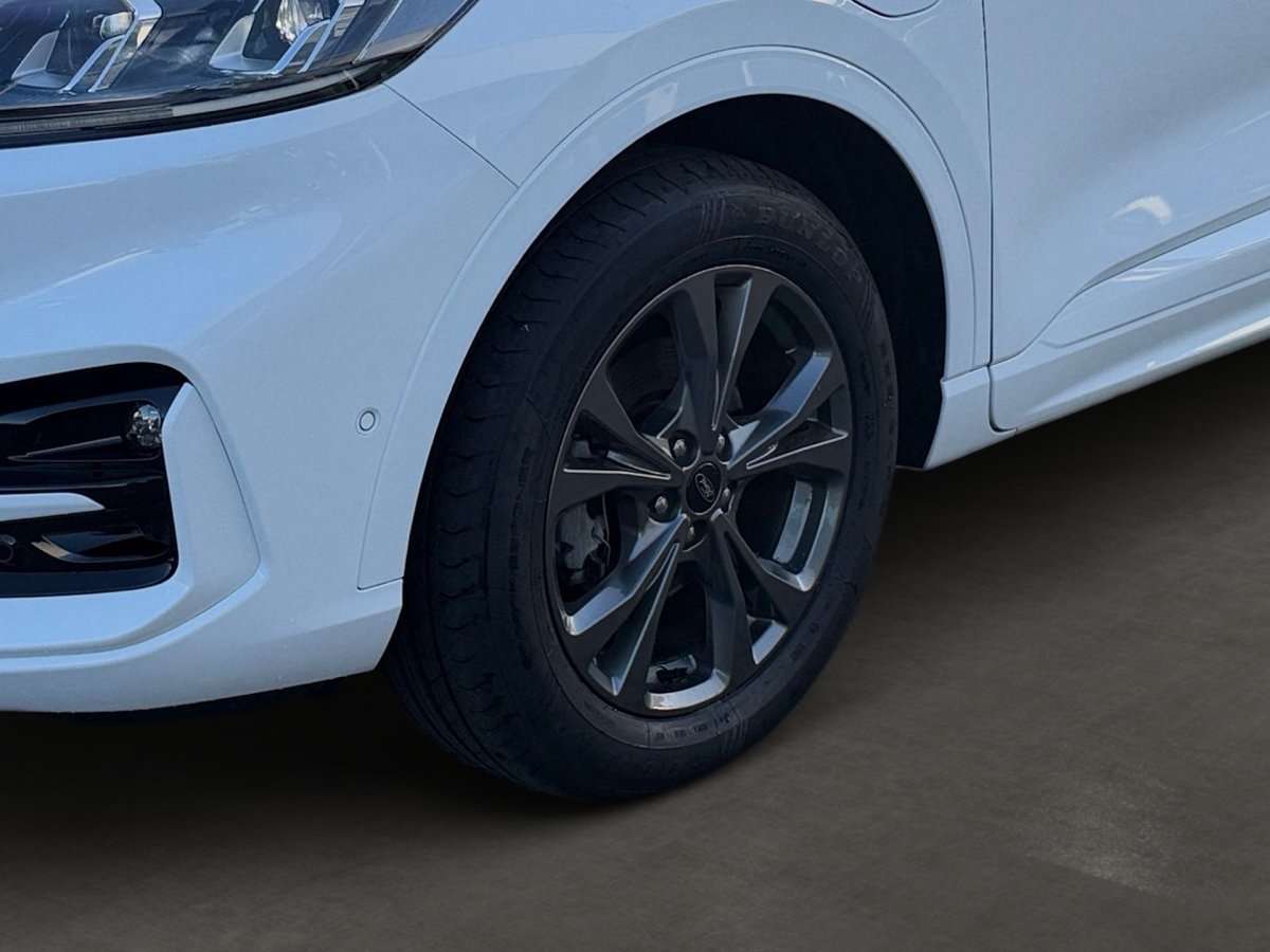 Fahrzeugbild eines Ford Kuga