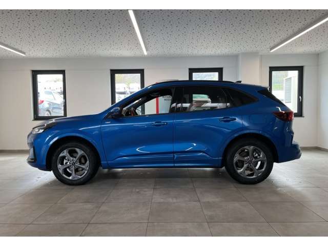 Fahrzeugbild eines Ford Kuga