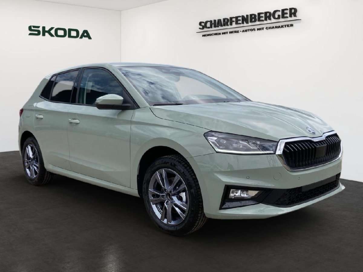 Fahrzeugbild eines Skoda Fabia