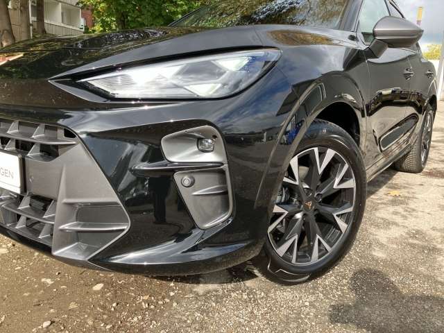 Fahrzeugbild eines CUPRA Terramar