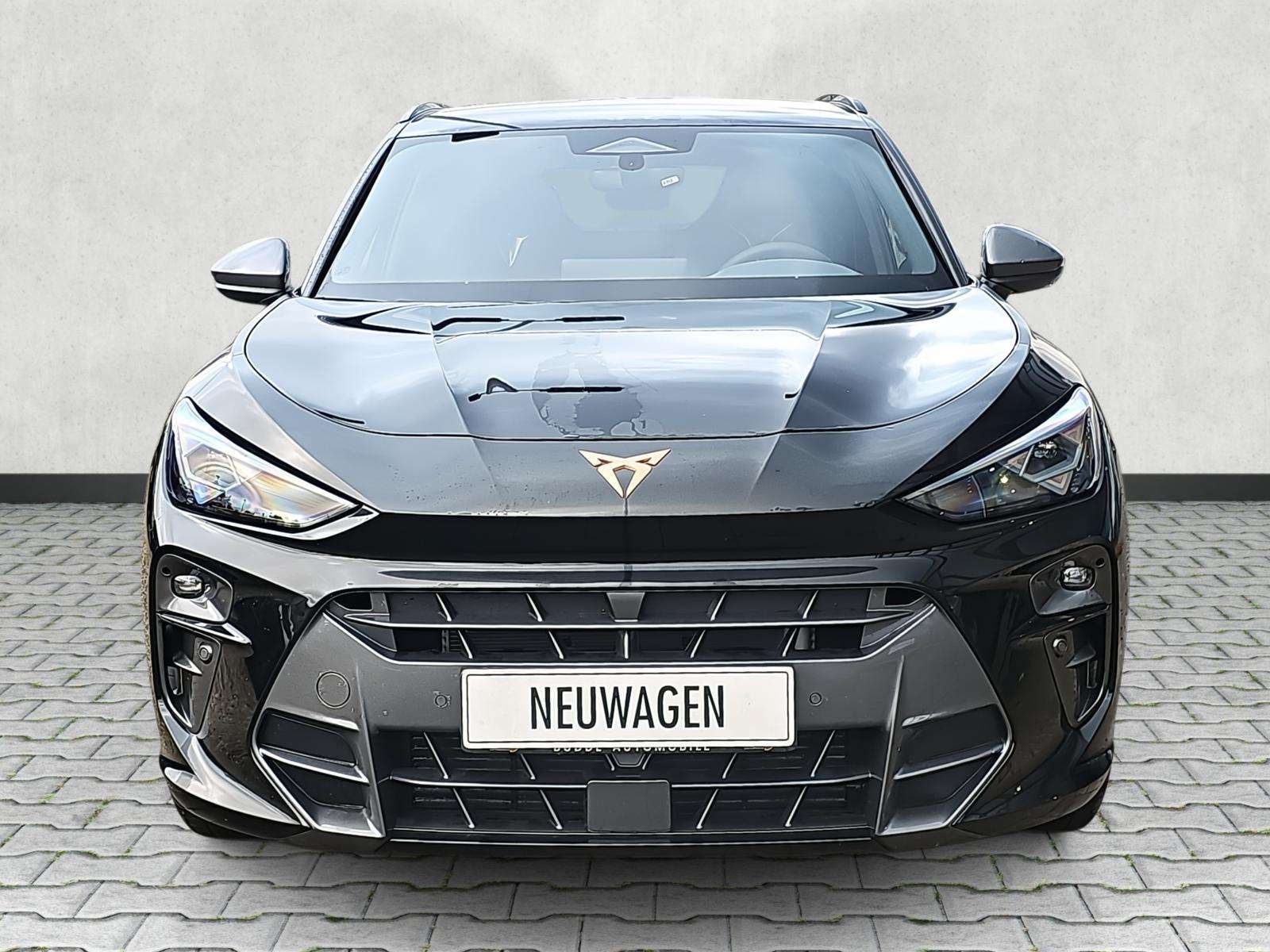 Fahrzeugbild eines CUPRA Terramar