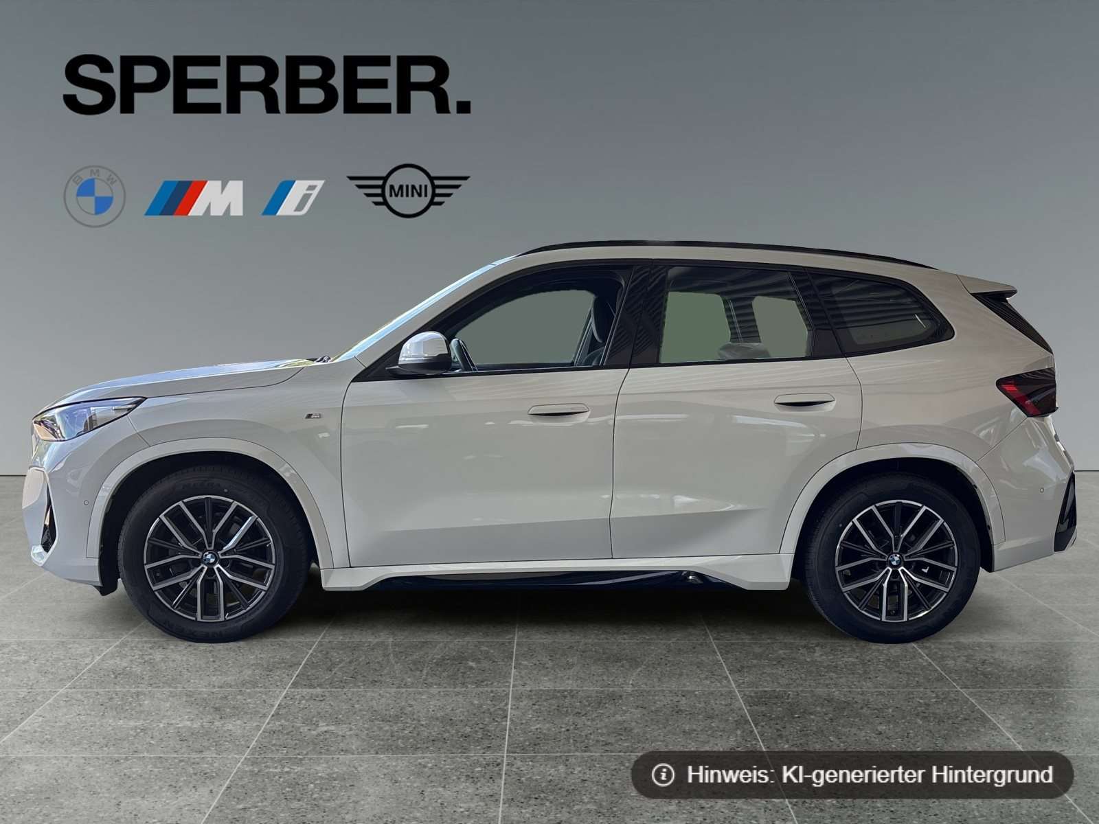 Fahrzeugbild eines BMW X1