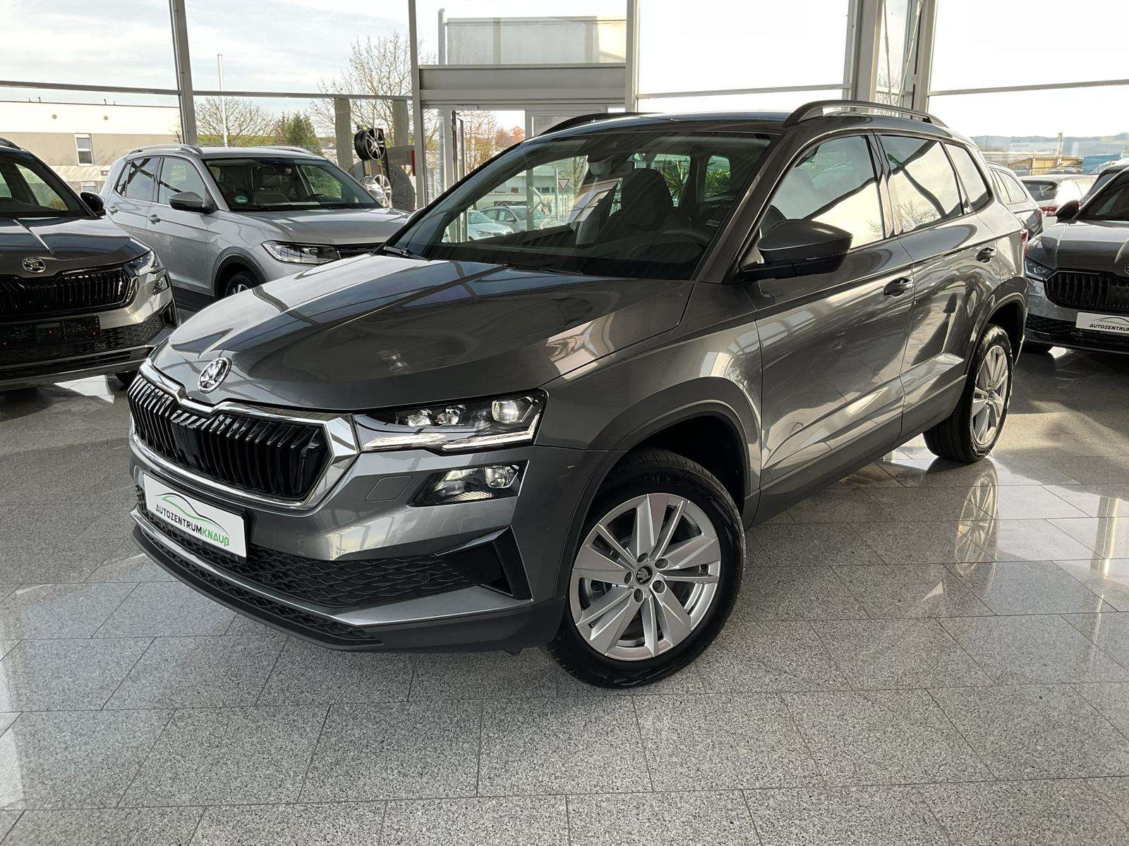 Fahrzeugbild eines Skoda Karoq
