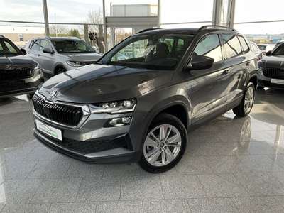 Bild Skoda Karoq