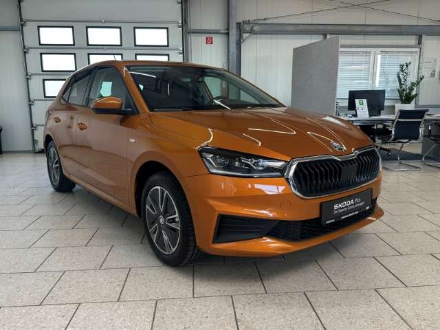 Fahrzeugbild eines Skoda Fabia