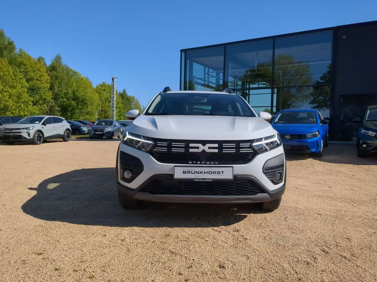 Fahrzeugbild eines Dacia Sandero