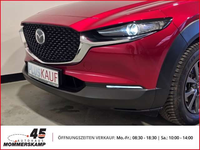 Fahrzeugbild eines Mazda CX-30